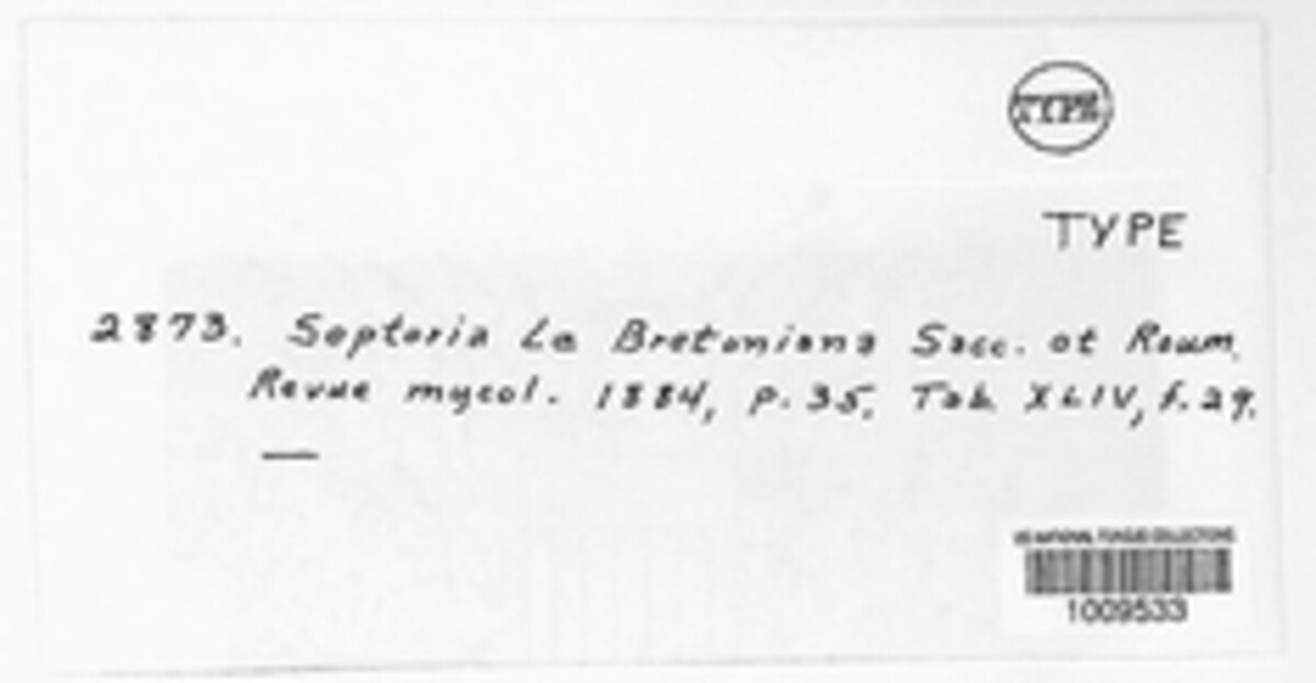 Rhabdospora lebretoniana image